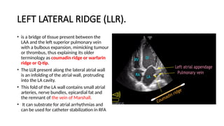 37.imaging of cardiac anatomy and pericardium.pptx