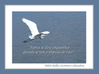 “ Nunca se deve engatinhar  quando se tem o impulso de voar”. Helen Keller, escritora e educadora 