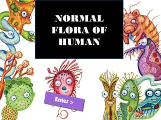 NORMAL
FLORA OF
HUMAN
 