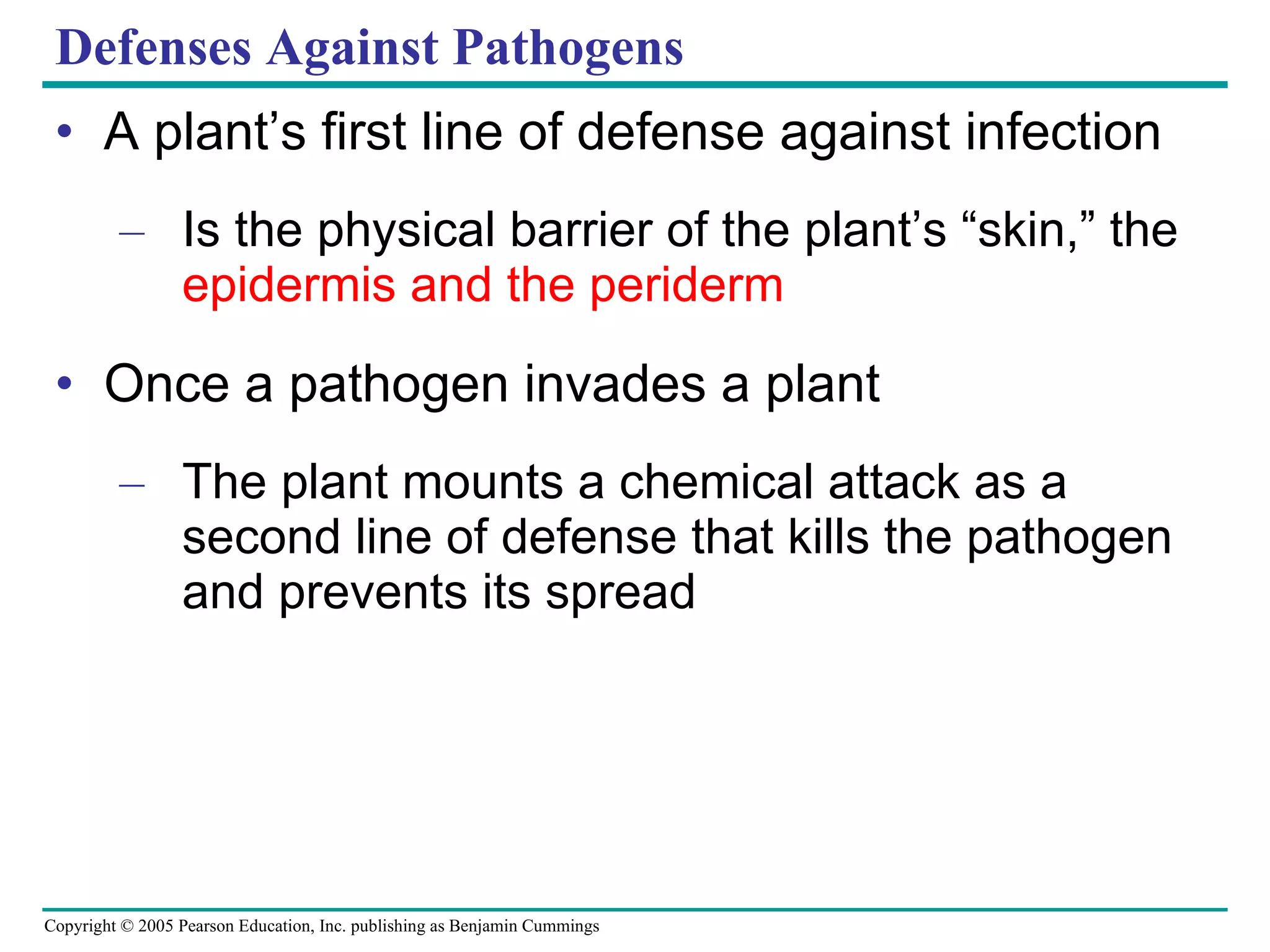 Defenses Against Pathogens A plant’s first line of defense against infection Is the physical barrier of the plant’s “skin,” the  epidermis and the periderm Once a pathogen invades a plant The plant mounts a chemical attack as a second line of defense that kills the pathogen and prevents its spread 