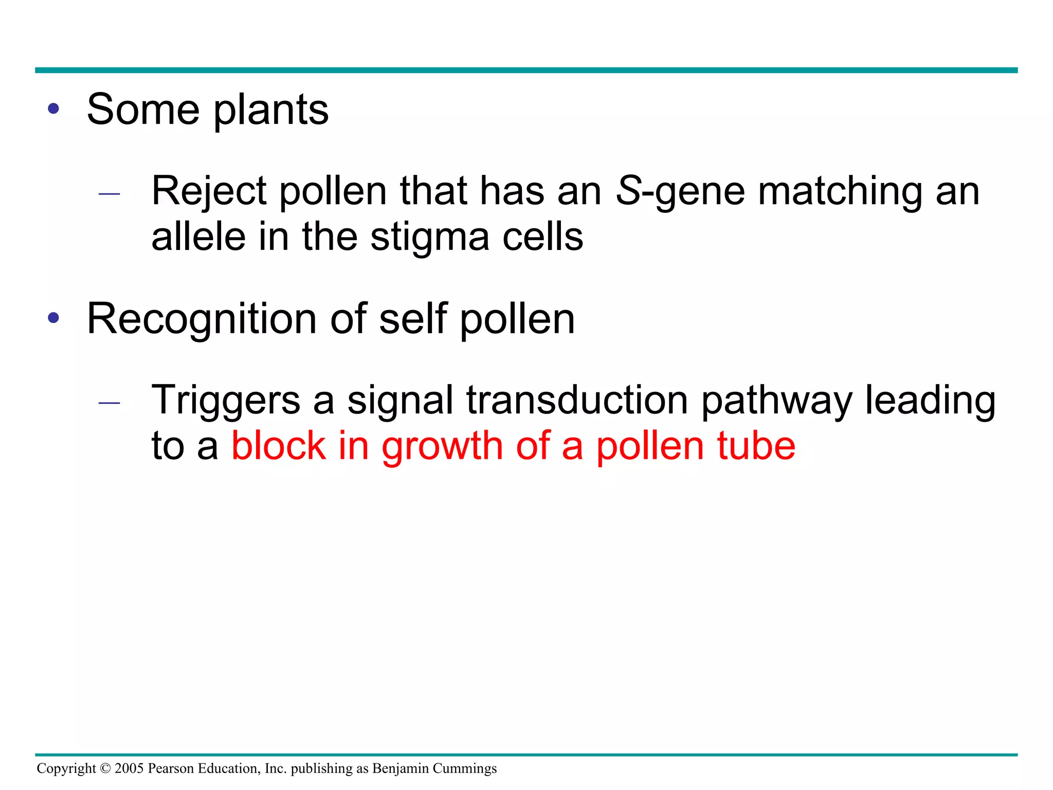 Some plants Reject pollen that has an  S -gene matching an allele in the stigma cells Recognition of self pollen Triggers a signal transduction pathway leading to a  block in growth of a pollen tube 