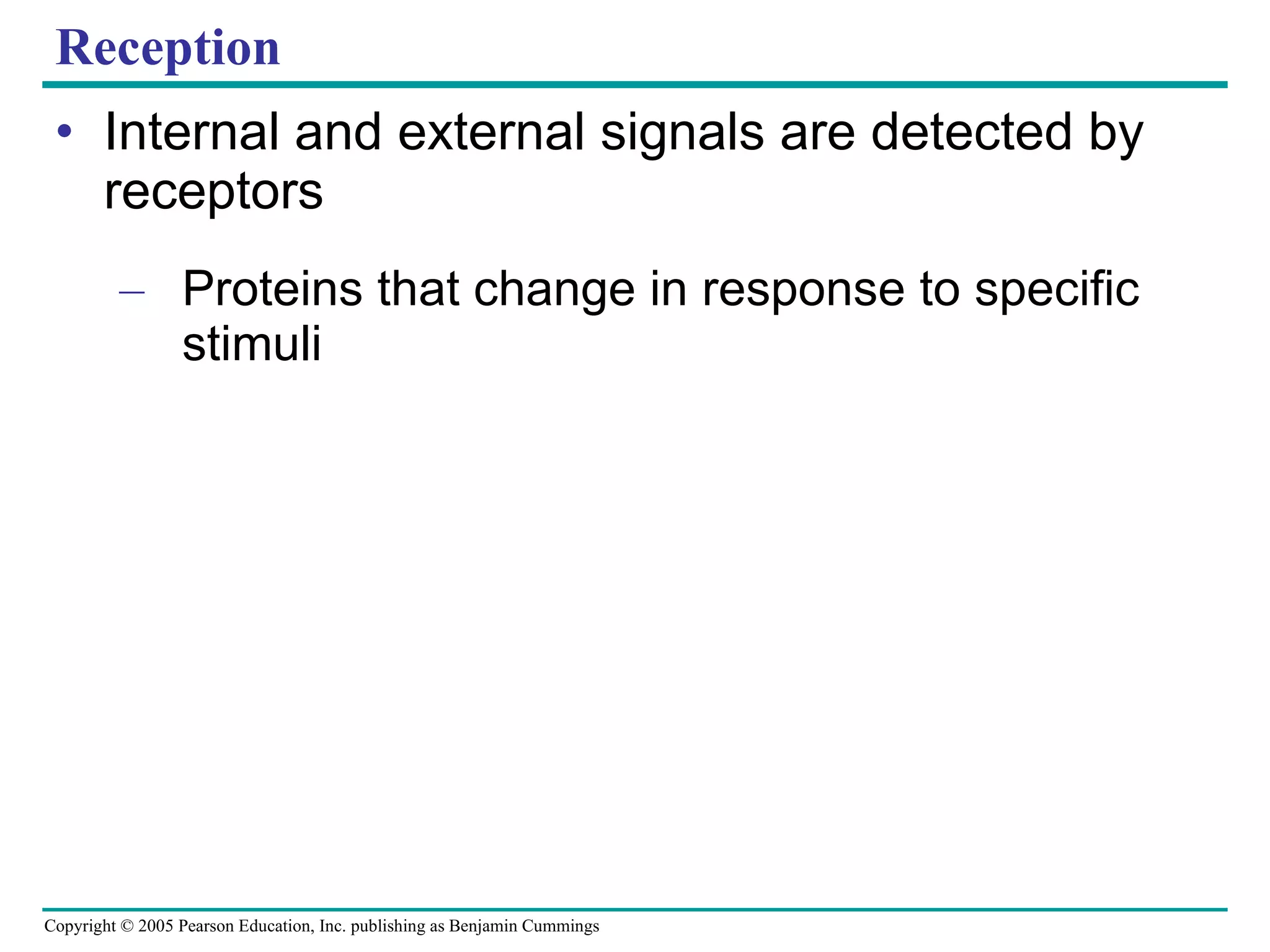 Reception Internal and external signals are detected by receptors Proteins that change in response to specific stimuli 