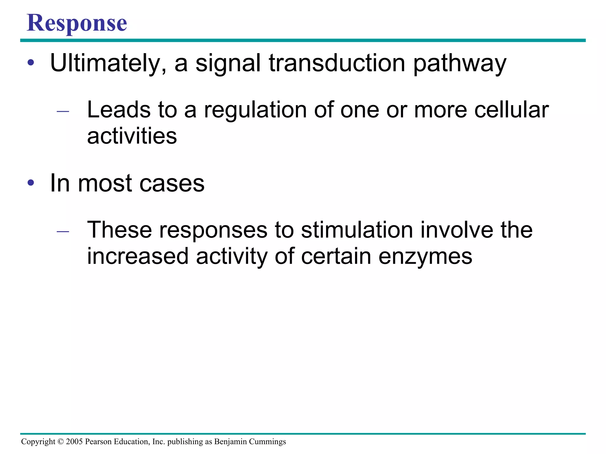 Response Ultimately, a signal transduction pathway Leads to a regulation of one or more cellular activities In most cases These responses to stimulation involve the increased activity of certain enzymes 