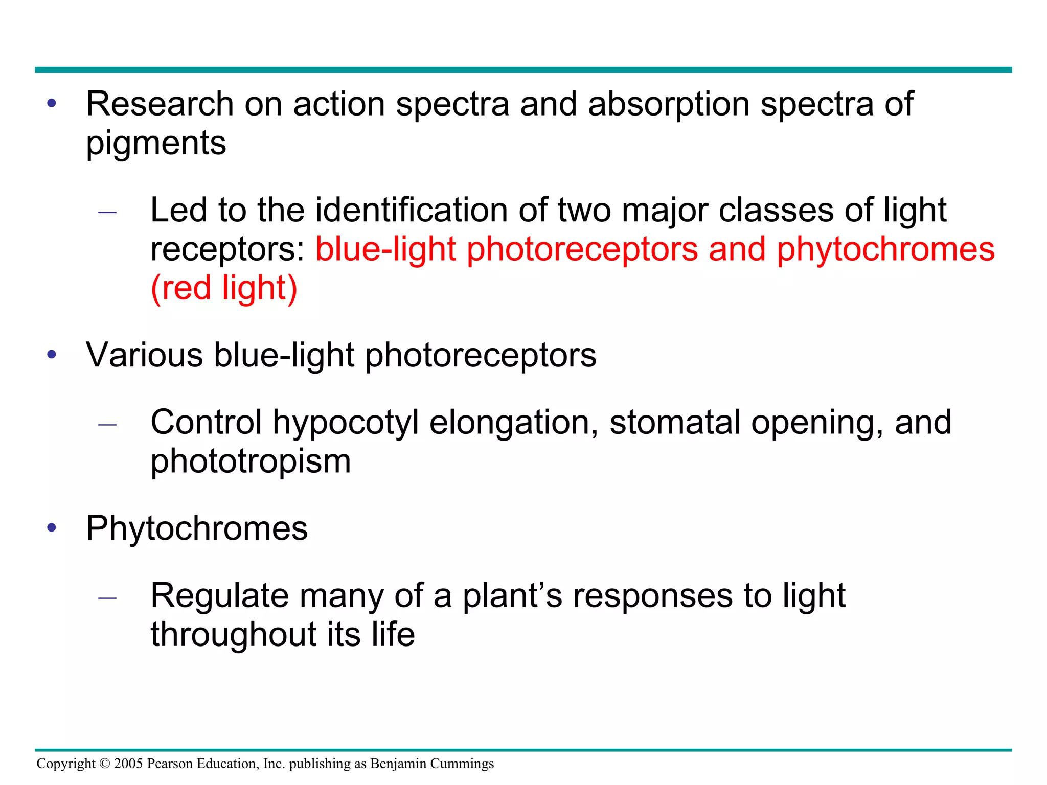 Research on action spectra and absorption spectra of pigments Led to the identification of two major classes of light receptors:  blue-light photoreceptors and phytochromes (red light) Various blue-light photoreceptors Control hypocotyl elongation, stomatal opening, and phototropism Phytochromes Regulate many of a plant’s responses to light throughout its life 