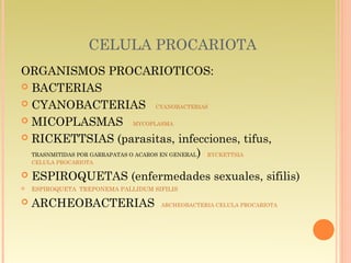 CELULA PROCARIOTA
ORGANISMOS PROCARIOTICOS:
 BACTERIAS

 CYANOBACTERIAS CYANOBACTERIAS

 MICOPLASMAS MYCOPLASMA

 RICKETTSIAS (parasitas, infecciones, tifus,
  TRASNMITIDAS POR GARRAPATAS O ACAROS EN GENERAL) RYCKETTSIA
    CELULA PROCARIOTA

   ESPIROQUETAS (enfermedades sexuales, sifilis)
   ESPIROQUETA TREPONEMA PALLIDUM SIFILIS

   ARCHEOBACTERIAS                  ARCHEOBACTERIA CELULA PROCARIOTA
 