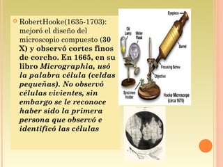    RobertHooke(1635-1703):
    mejoró el diseño del
    microscopio compuesto (30
    X) y observó cortes finos
    de corcho. En 1665, en su
    libro Micrographia, usó
    la palabra célula (celdas
    pequeñas). No observó
    células vivientes, sin
    embargo se le reconoce
    haber sido la primera
    persona que observó e
    identificó las células
 