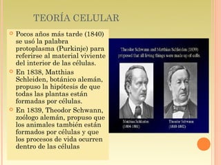 TEORÍA CELULAR
   Pocos años más tarde (1840)
    se usó la palabra
    protoplasma (Purkinje) para
    referirse al material viviente
    del interior de las células.
   En 1838, Matthias
    Schleiden, botánico alemán,
    propuso la hipótesis de que
    todas las plantas están
    formadas por células.
   En 1839, Theodor Schwann,
    zoólogo alemán, propuso que
    los animales también están
    formados por células y que
    los procesos de vida ocurren
    dentro de las células
 