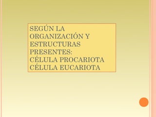 SEGÚN LA
ORGANIZACIÓN Y
ESTRUCTURAS
PRESENTES:
CÉLULA PROCARIOTA
CÉLULA EUCARIOTA
 