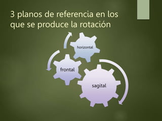 3 planos de referencia en los
que se produce la rotación
sagital
frontal
horizontal
 