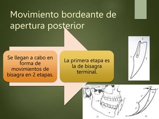 Movimiento bordeante de
apertura posterior
Se llegan a cabo en
forma de
movimientos de
bisagra en 2 etapas.
La primera etapa es
la de bisagra
terminal.
 