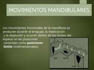 Los movimientos funcionales de la mandíbula se
producen durante el lenguaje, la masticación
y la deglución y ocurren dentro de los limites del
espacio en las posiciones
conocidas como posiciones
limite (tridimensionales).
MOVIMIENTOS MANDIBULARES
 