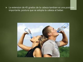  La extension de 45 grados de la cabeza tambien es una posicion
importante, postura que se adopta la cabeza al beber.
 
