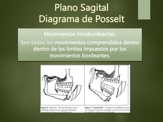 Plano Sagital
Diagrama de Posselt
Movimientos Intrabordeantes.
Son todos los movimientos comprendidos dentro
dentro de los limites impuestos por los
movimientos bordeantes.
 