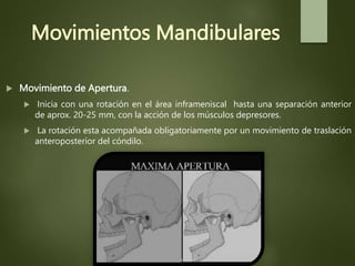 Movimientos Mandibulares
 Movimiento de Apertura.
 Inicia con una rotación en el área inframeniscal hasta una separación anterior
de aprox. 20-25 mm, con la acción de los músculos depresores.
 La rotación esta acompañada obligatoriamente por un movimiento de traslación
anteroposterior del cóndilo.
 