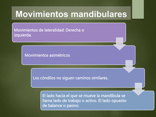 Movimientos mandibulares
Movimientos de lateralidad: Derecha o
izquierda.
Movimientos asimétricos
Los cóndilos no siguen caminos similares.
El lado hacia el que se mueve la mandíbula se
llama lado de trabajo o activo. El lado opuesto
de balance o pasivo.
 