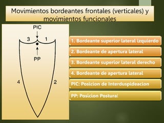 Movimientos bordeantes frontales (verticales) y
movimientos funcionales
1. Bordeante superior lateral izquierdo
2. Bordeante de apertura lateral
3. Bordeante superior lateral derecho
4. Bordeante de apertura lateral
PIC: Posicion de Interduspideacion
PP: Posicion Postural
 