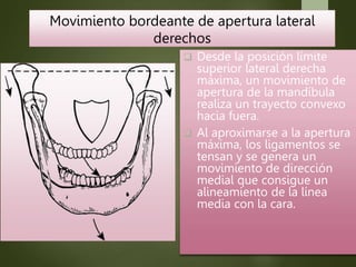 Movimiento bordeante de apertura lateral
derechos
 Desde la posición límite
superior lateral derecha
máxima, un movimiento de
apertura de la mandíbula
realiza un trayecto convexo
hacia fuera.
 Al aproximarse a la apertura
máxima, los ligamentos se
tensan y se genera un
movimiento de dirección
medial que consigue un
alineamiento de la línea
media con la cara.
 