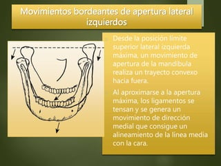 Movimientos bordeantes de apertura lateral
izquierdos
o Desde la posición límite
superior lateral izquierda
máxima, un movimiento de
apertura de la mandíbula
realiza un trayecto convexo
hacia fuera.
o Al aproximarse a la apertura
máxima, los ligamentos se
tensan y se genera un
movimiento de dirección
medial que consigue un
alineamiento de la línea media
con la cara.
 