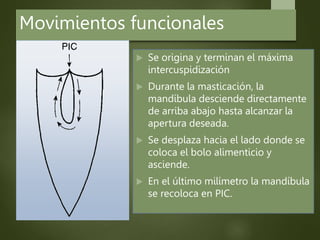 Movimientos funcionales
 Se origina y terminan el máxima
intercuspidización
 Durante la masticación, la
mandíbula desciende directamente
de arriba abajo hasta alcanzar la
apertura deseada.
 Se desplaza hacia el lado donde se
coloca el bolo alimenticio y
asciende.
 En el último milímetro la mandíbula
se recoloca en PIC.
 