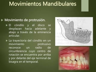 Movimientos Mandibulares
 Movimiento de protrusión.
 El cóndilo y el disco se
desplazan hacia adelante y
abajo a través de la eminencia
articular.
 La trayectoria del cóndilo en un
movimiento protrusivo
reconoce un radio de
circunferencia cuyo centro de
rotación se encuentra por arriba
y por delante del eje terminal de
bisagra en el temporal.
 