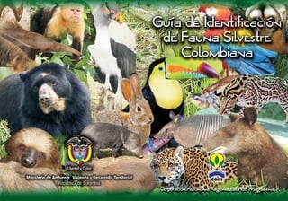 Guía de Identificación
de Fauna Silvestre
Colombiana
Corporación Autónoma Regional del Alto Magdalena
Ministerio de Ambiente, Vivienda y Desarrollo Territorial
República de Colombia
Libertad y Orden
 