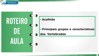 2
• Acolhida
• Principais grupos e características
dos Vertebrados
 