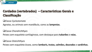 Classe Cyclostomata
Agnatas, ou animais sem mandíbula, como as lampreias.
Classe Chondrichthyes
Peixes com esqueleto cartilaginoso, com destaque para tubarões e raias.
Classe Osteichthyes
Peixes com esqueleto ósseo, como lambaris, trutas, salmões, dourados e sardinhas.
4
 