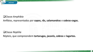 Classe Amphibia
Anfíbios, representados por sapos, rãs, salamandras e cobras-cegas.
Classe Reptilia
Répteis, que compreendem tartarugas, jacarés, cobras e lagartos.
5
 