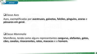 Classe Aves
Aves, exemplificadas por avestruzes, gaivotas, falcões, pinguins, araras e
pássaros em geral.
Classe Mammalia
Mamíferos, tendo como alguns representantes cangurus, elefantes, gatos,
cães, cavalos, rinocerontes, ratos, macacos e o homem.
6
 