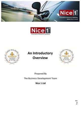 Page1
Prepared By
The Business Development Team
Nice 1 Ltd
An Introductory
Overview
 