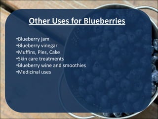 Other Uses for Blueberries
•Blueberry jam
•Blueberry vinegar
•Muffins, Pies, Cake
•Skin care treatments
•Blueberry wine and smoothies
•Medicinal uses
 
