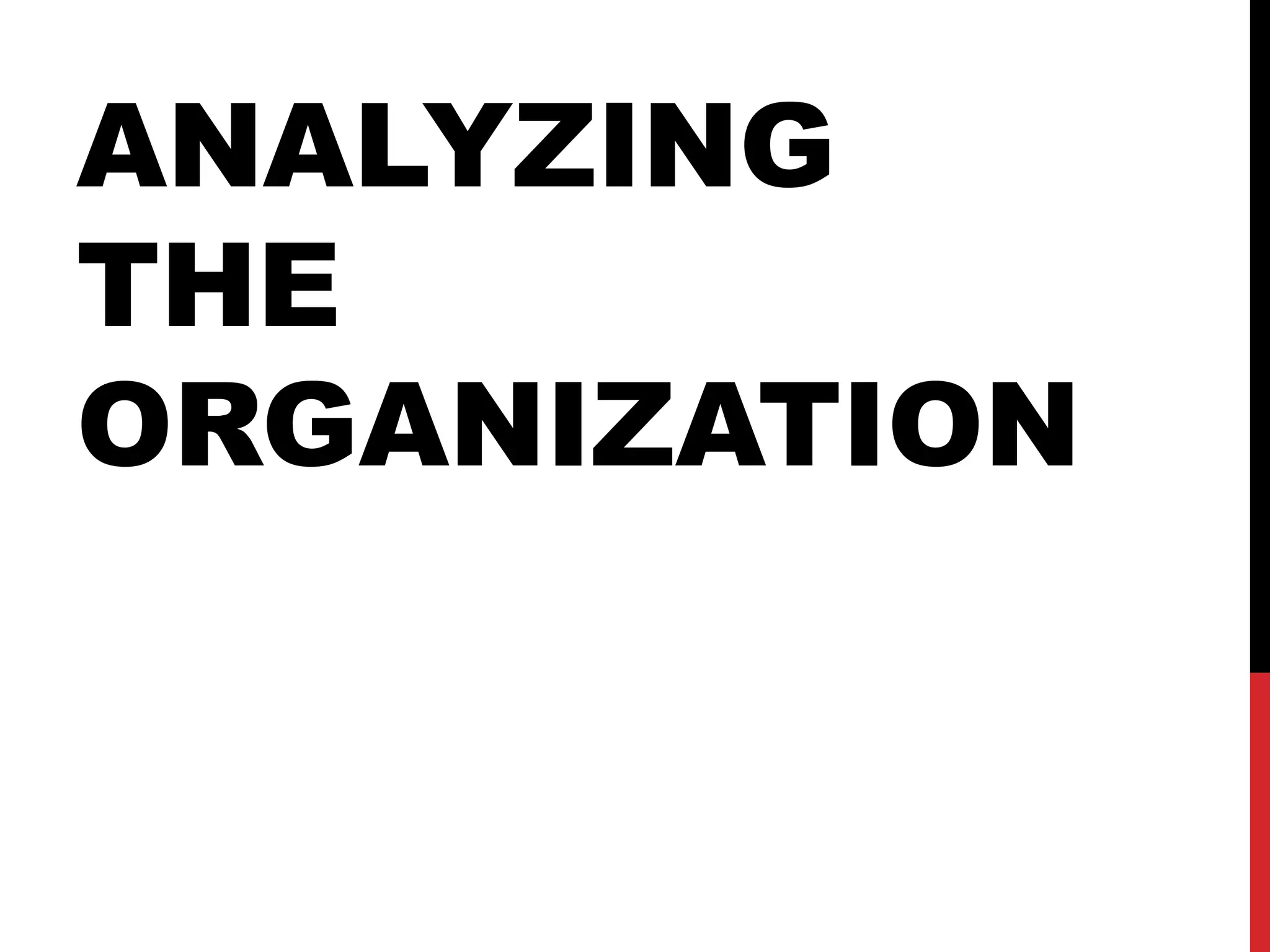 ANALYZING THE ORGANIZATION  