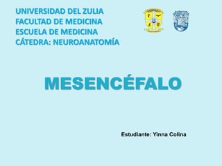 UNIVERSIDAD DEL ZULIA
FACULTAD DE MEDICINA
ESCUELA DE MEDICINA
CÁTEDRA: NEUROANATOMÍA
Estudiante: Yinna Colina
MESENCÉFALO
 