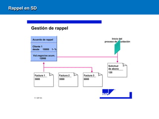 Rappel-en-SD-SAP 2.pdf