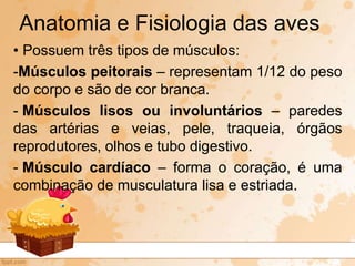 • Possuem três tipos de músculos:
-Músculos peitorais – representam 1/12 do peso
do corpo e são de cor branca.
- Músculos lisos ou involuntários – paredes
das artérias e veias, pele, traqueia, órgãos
reprodutores, olhos e tubo digestivo.
- Músculo cardíaco – forma o coração, é uma
combinação de musculatura lisa e estriada.
Anatomia e Fisiologia das aves
 