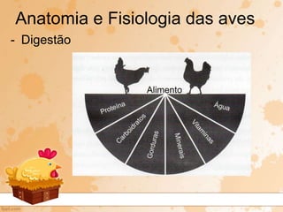 - Digestão
Anatomia e Fisiologia das aves
 