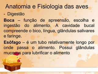 - Digestão
Boca – função de apreensão, escolha e
ingestão do alimento. A cavidade bucal
compreende o bico, língua, glândulas salivares
e faringe.
Esôfago – é um tubo relativamente longo por
onde passa o alimento. Possui glândulas
mucosas para lubrificar o alimento
Anatomia e Fisiologia das aves
 