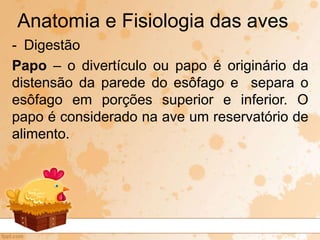 - Digestão
Papo – o divertículo ou papo é originário da
distensão da parede do esôfago e separa o
esôfago em porções superior e inferior. O
papo é considerado na ave um reservatório de
alimento.
Anatomia e Fisiologia das aves
 