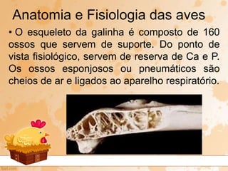 • O esqueleto da galinha é composto de 160
ossos que servem de suporte. Do ponto de
vista fisiológico, servem de reserva de Ca e P.
Os ossos esponjosos ou pneumáticos são
cheios de ar e ligados ao aparelho respiratório.
Anatomia e Fisiologia das aves
 
