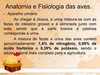 - Aparelho urinário
Ao chegar à cloaca, a urina mistura-se com as
fezes do intestino grosso e é eliminada junto com
esta, sendo que a parte branca e pastosa
corresponde à urina.
A mistura de fezes e urina das aves contém
aproximadamente: 1,4% de nitrogênio, 0,99% de
ácido fosfórico e 0,39% de potássio, sendo o
adubo natural mais completo para a agricultura.
Anatomia e Fisiologia das aves
 