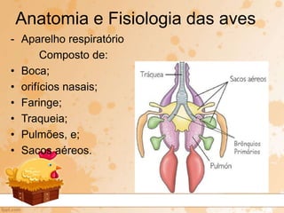 - Aparelho respiratório
Composto de:
• Boca;
• orifícios nasais;
• Faringe;
• Traqueia;
• Pulmões, e;
• Sacos aéreos.
Anatomia e Fisiologia das aves
 