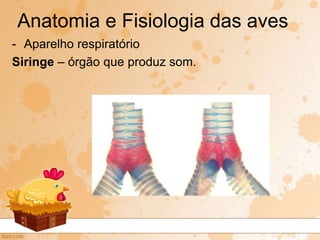 - Aparelho respiratório
Siringe – órgão que produz som.
Anatomia e Fisiologia das aves
 