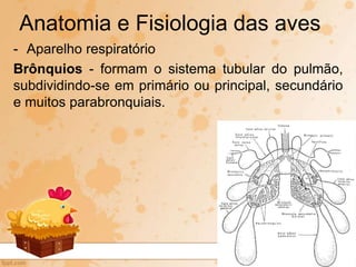 - Aparelho respiratório
Brônquios - formam o sistema tubular do pulmão,
subdividindo-se em primário ou principal, secundário
e muitos parabronquiais.
Anatomia e Fisiologia das aves
 