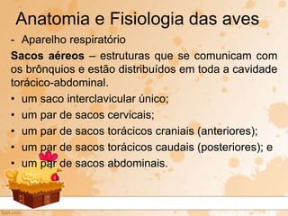 - Aparelho respiratório
Sacos aéreos – estruturas que se comunicam com
os brônquios e estão distribuídos em toda a cavidade
torácico-abdominal.
• um saco interclavicular único;
• um par de sacos cervicais;
• um par de sacos torácicos craniais (anteriores);
• um par de sacos torácicos caudais (posteriores); e
• um par de sacos abdominais.
Anatomia e Fisiologia das aves
 