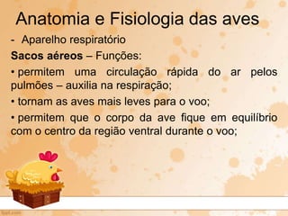 - Aparelho respiratório
Sacos aéreos – Funções:
• permitem uma circulação rápida do ar pelos
pulmões – auxilia na respiração;
• tornam as aves mais leves para o voo;
• permitem que o corpo da ave fique em equilíbrio
com o centro da região ventral durante o voo;
Anatomia e Fisiologia das aves
 