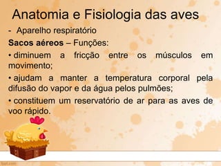 - Aparelho respiratório
Sacos aéreos – Funções:
• diminuem a fricção entre os músculos em
movimento;
• ajudam a manter a temperatura corporal pela
difusão do vapor e da água pelos pulmões;
• constituem um reservatório de ar para as aves de
voo rápido.
Anatomia e Fisiologia das aves
 