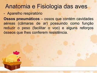 - Aparelho respiratório
Ossos pneumáticos – ossos que contém cavidades
aéreas (câmaras de ar) possuindo como função
reduzir o peso (facilitar o voo) e alguns reforços
ósseos que lhes conferem resistência.
Anatomia e Fisiologia das aves
 