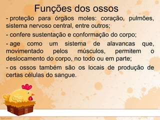 - proteção para órgãos moles: coração, pulmões,
sistema nervoso central, entre outros;
- confere sustentação e conformação do corpo;
- age como um sistema de alavancas que,
movimentado pelos músculos, permitem o
deslocamento do corpo, no todo ou em parte;
- os ossos também são os locais de produção de
certas células do sangue.
Funções dos ossos
 