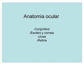 Anatomia ocular

     -Conjuntivo
  -Esclero y cornea
        -Uvea
       -Retina
 