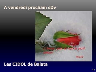 44
A vendredi prochain sDv
Les CIDOL de Balata
 